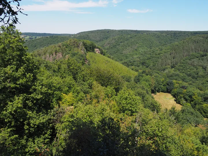 Ninglinspo (België)